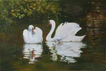 Swan fidelity. Kudryashov� Galina
