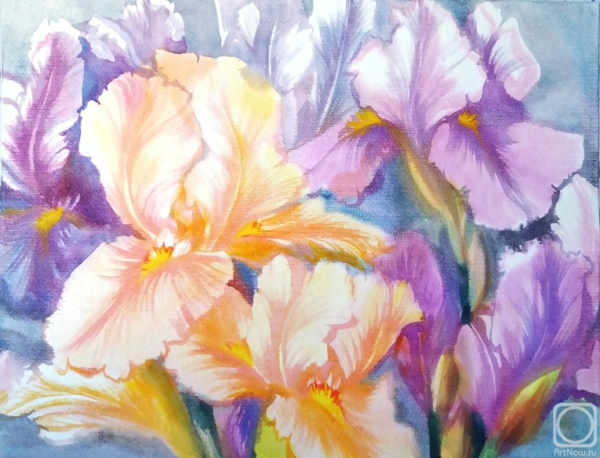 Mikhalskaya Katya. Irises in the sun