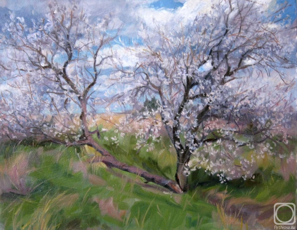 ������� ������ �� ������. ������� ��������. ����� �����