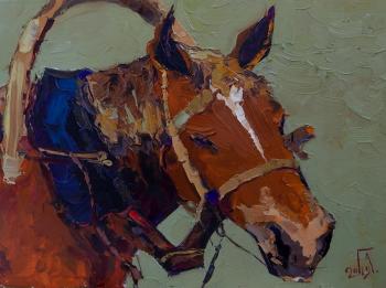 ������� ����������