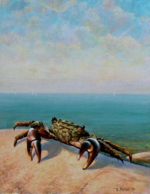 Crab. Rogov Vladimir