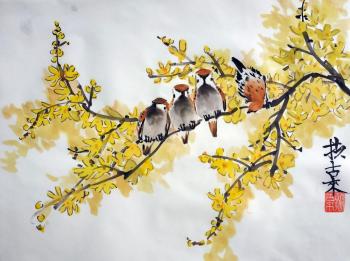 Sparrows and forsythia
