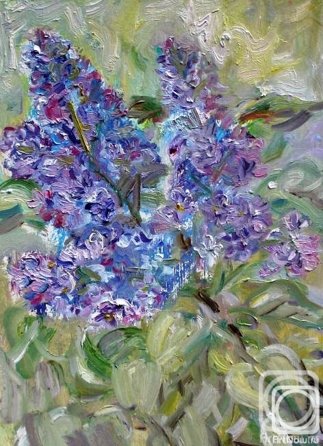 �������. ����� ������. ������� ������� ������