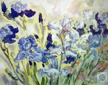 Irises blue, blue, white. Sechko Xenia