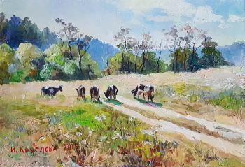 Cows on pasture. Kruglova Irina