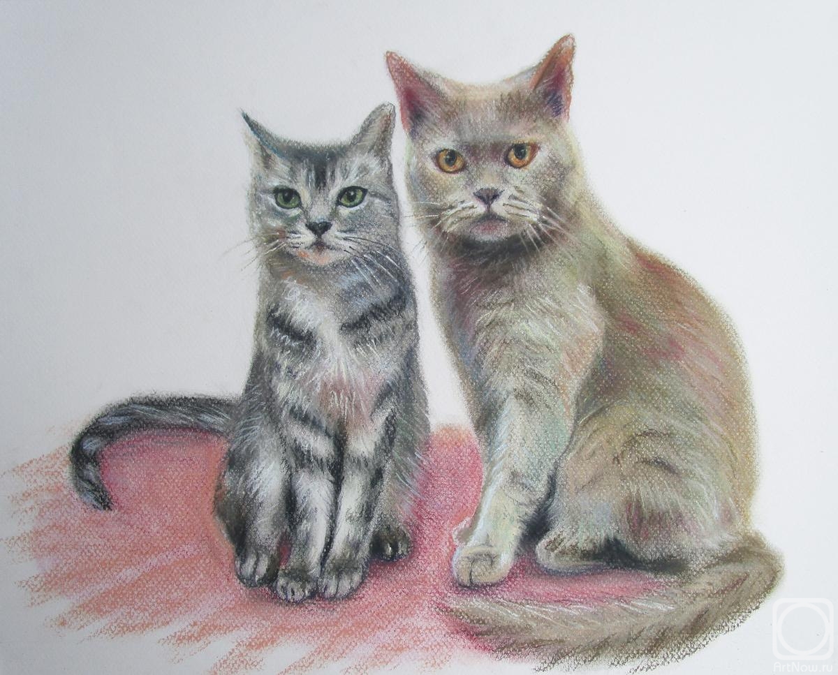 Melnikova Olga. Cats