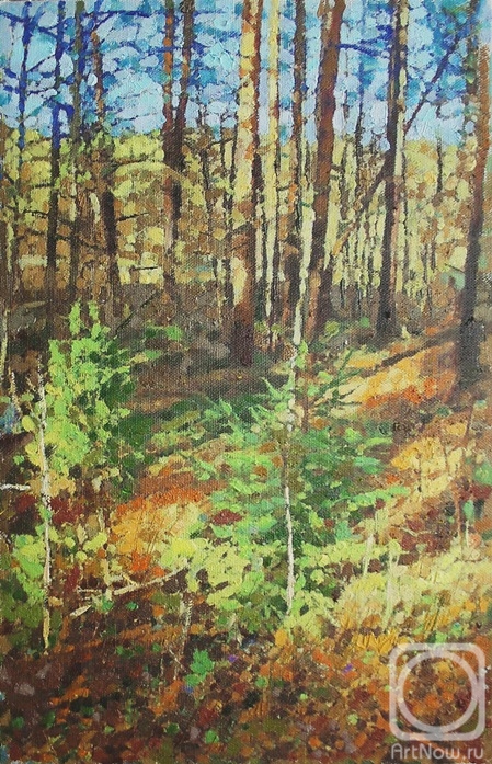 Rudnik Mihkail. April in the forest