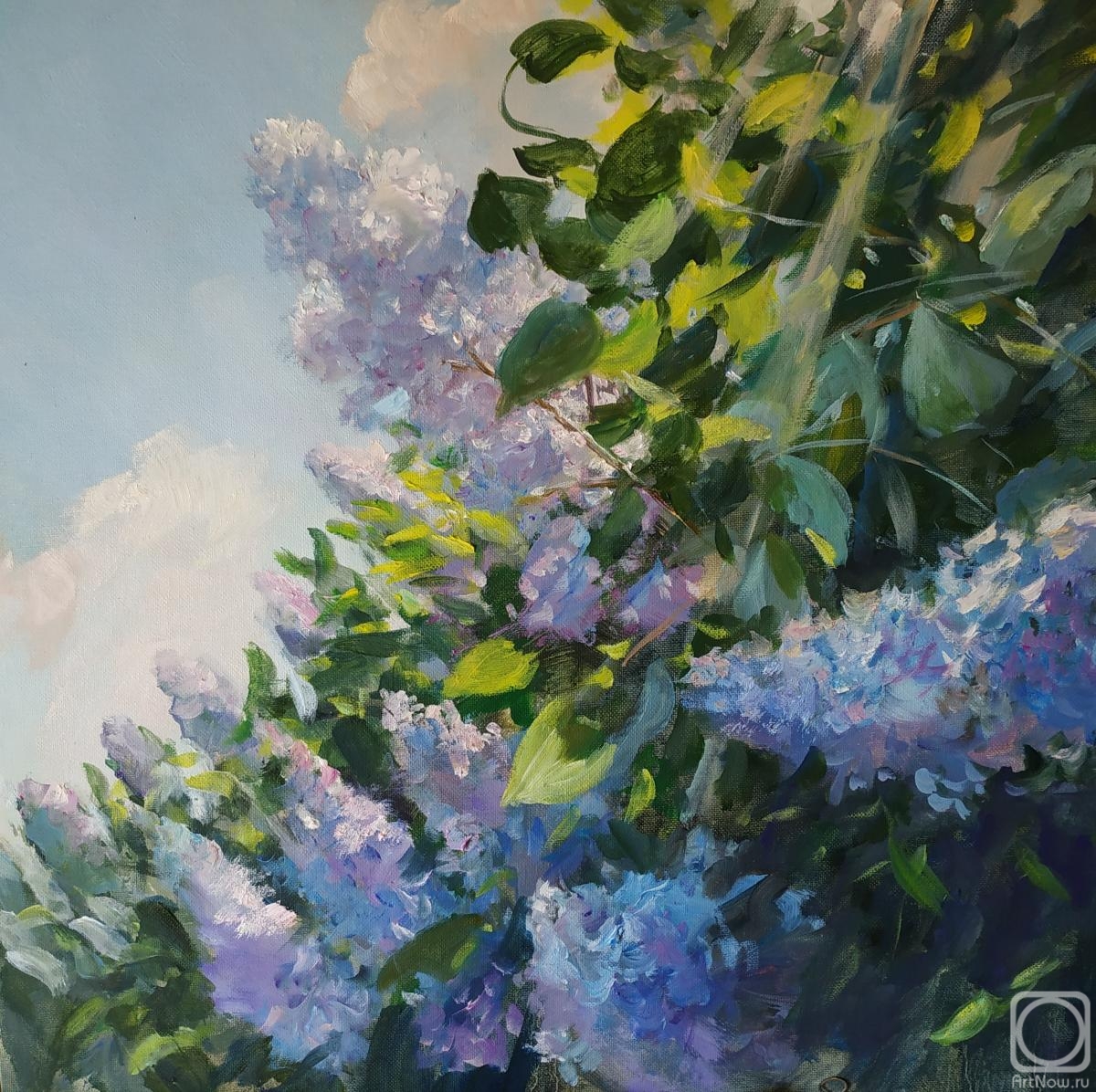 �������. ������� ������. ����� ������