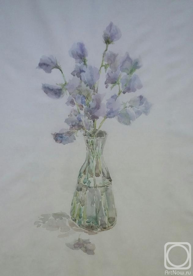 �������. ���� �����. �������� �������