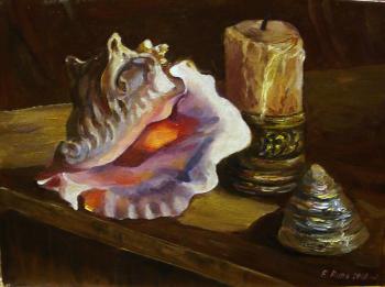 Ripa Elena Mihailovna. Still life with shells