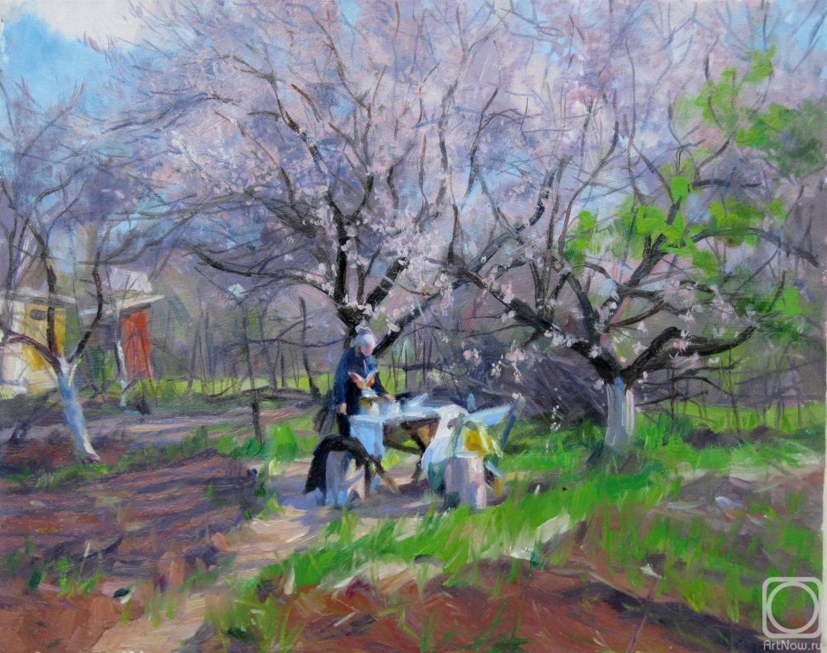 ������� ������ �� ������. ������� ��������. ������� ����