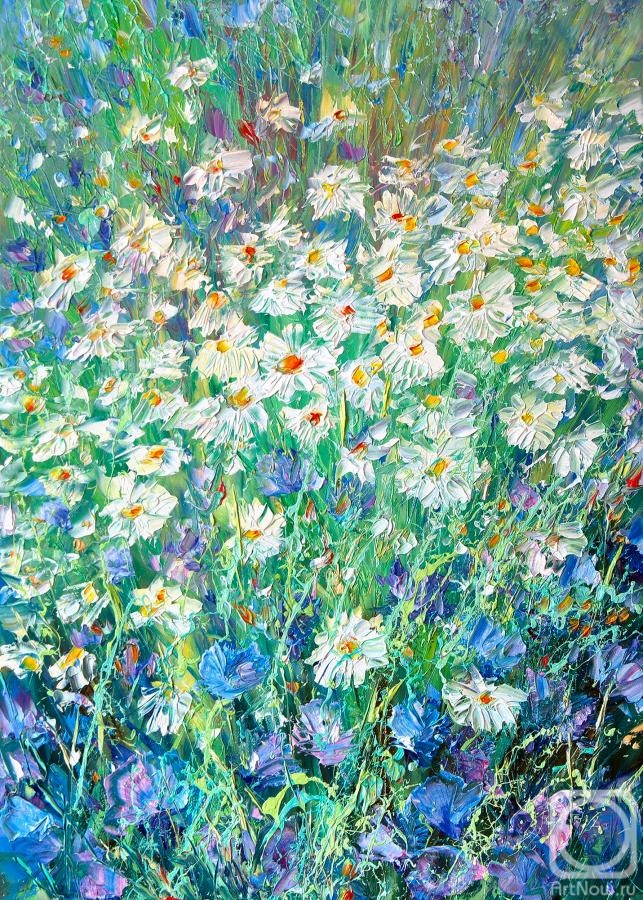 Kravchuk Vladislav. Field daisies