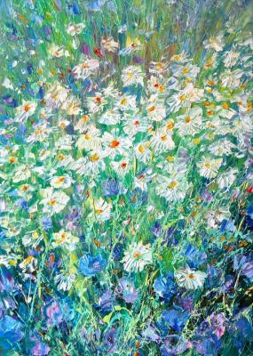 Field daisies. Kravchuk Vladislav