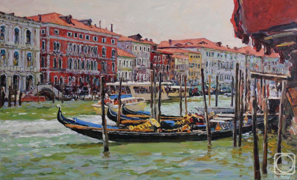 Malykh Evgeny. A view of Venice