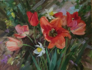 Tulips and daffodils. Korolev Andrey