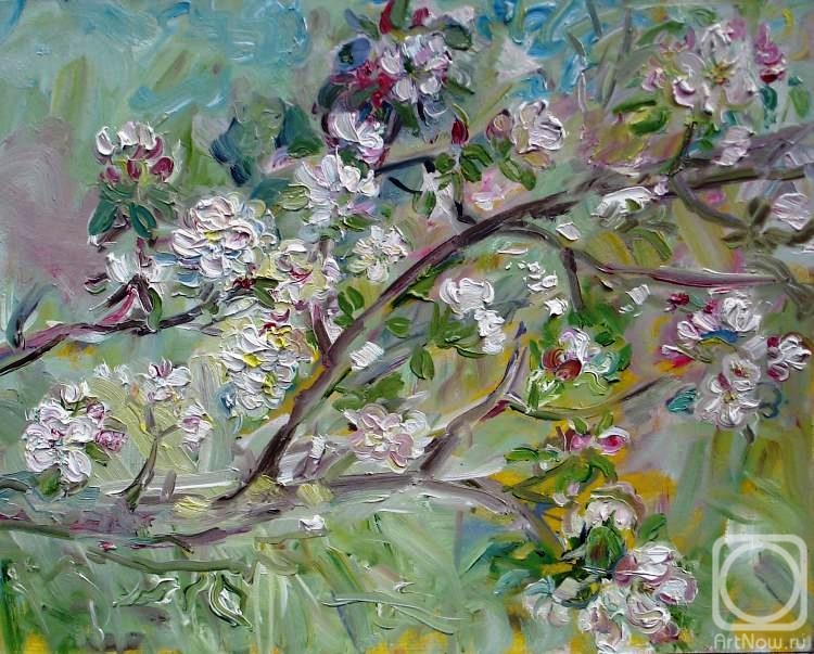 Sechko Xenia. Flowering branch of an apple tree