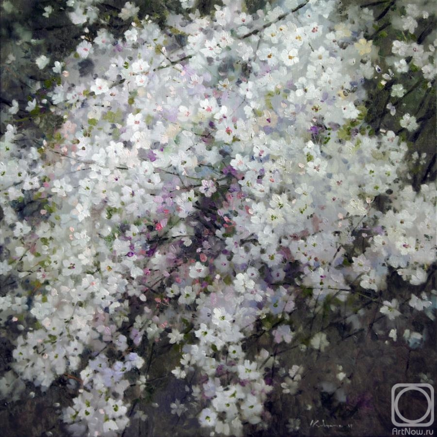 Savchenko Aleksey. Cloud