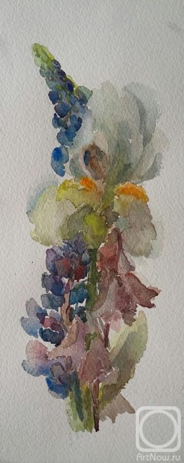 �������. ���� �����. �����