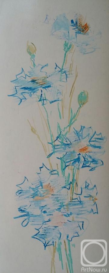 �������. ���� �����. ��������