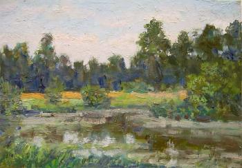 Overgrown Pond (study)