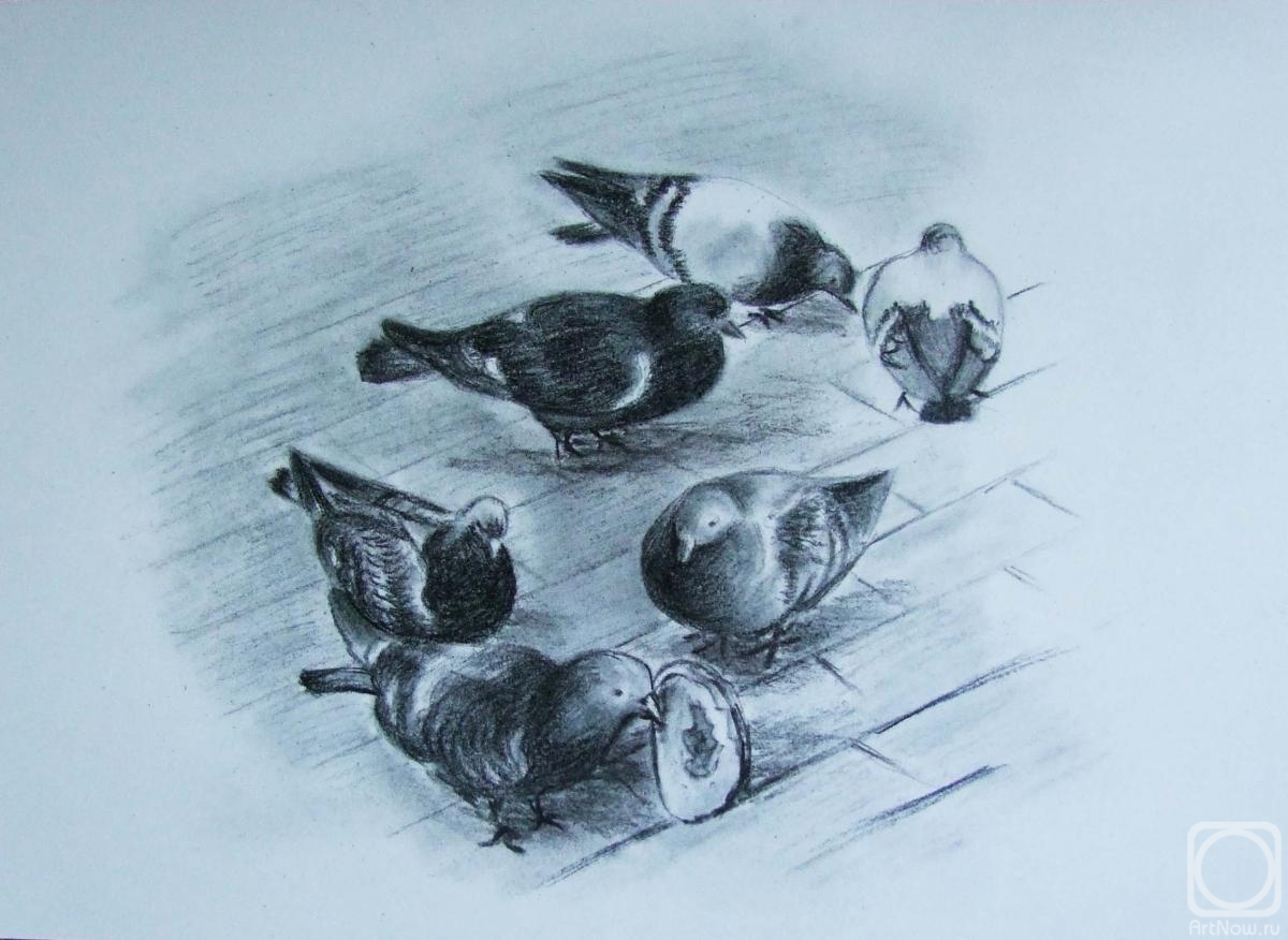 Levina Galina. Pigeons