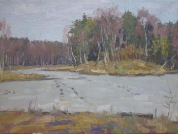 Chertov Sergey Mikhaylovich. Lake. Early Spring (etude)