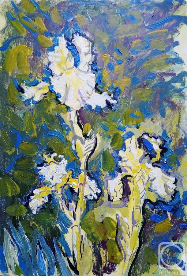 Sechko Xenia. Three pale yellow iris