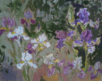 Irises in the garden. Sechko Xenia