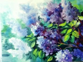 Lilac. Spring