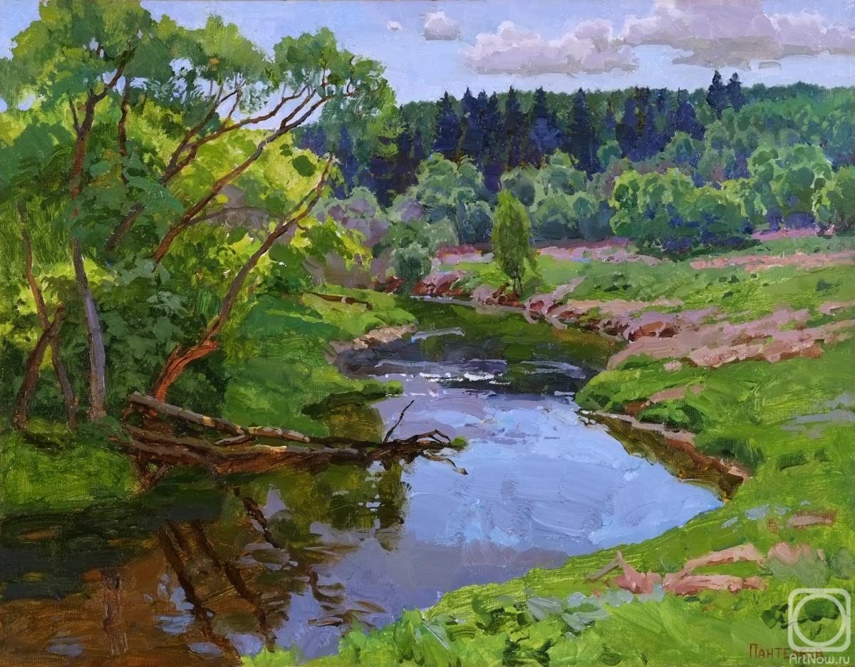 Panteleev Sergey. Turn of the river