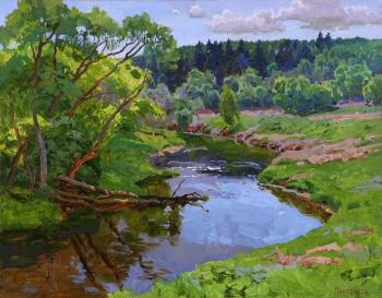 Turn of the river. Panteleev Sergey