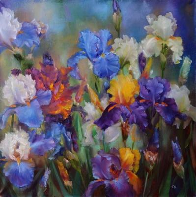 Irises. Multicolored. Razumova Svetlana
