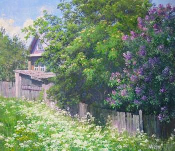 The beginning of summer in Podeme. Maryin Alexey