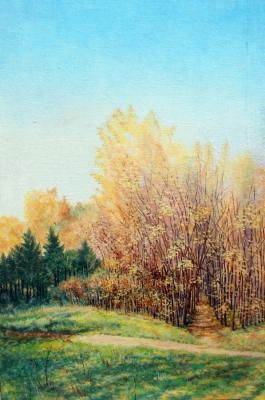 Early autumn. 9 am. Abaimov Vladimir