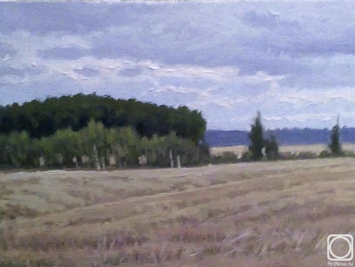 Toporkov Anatoliy. Field