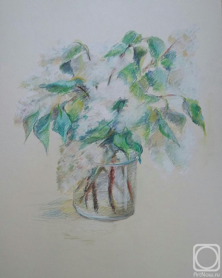 �������. ���� �����. ������