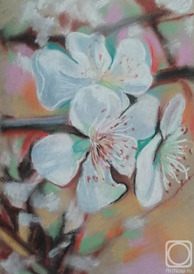 �������. ������� �����. ����� ���