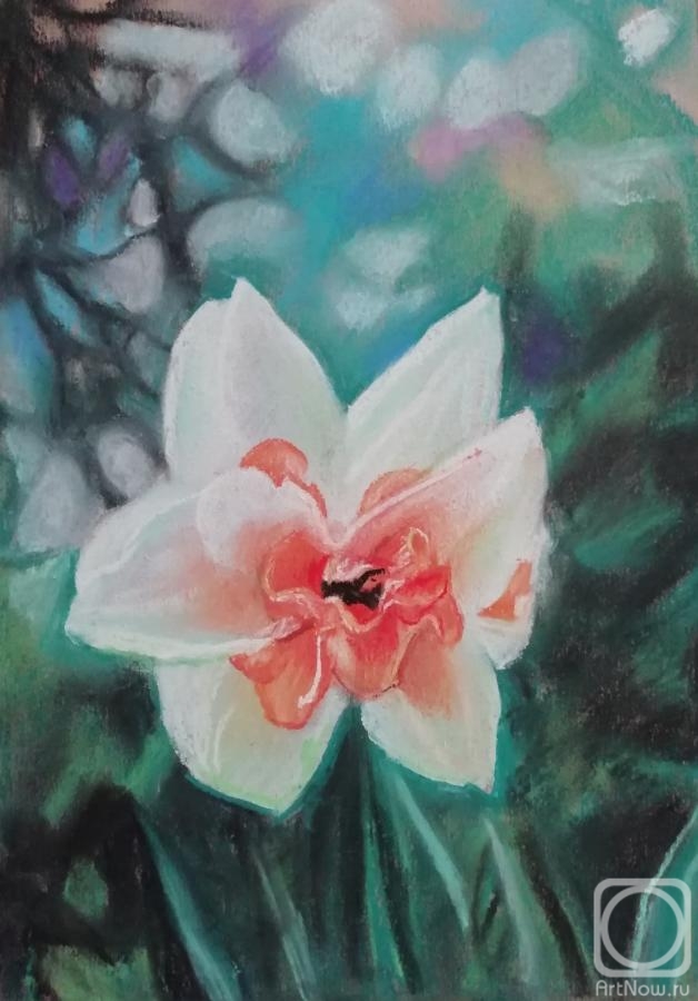 �������. ������� �����. ������ �������