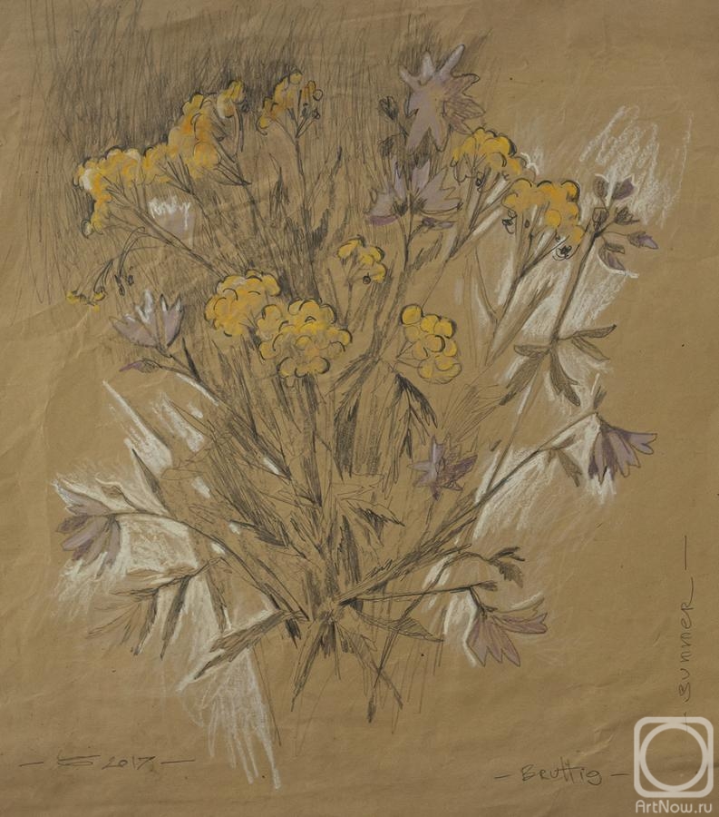 �������. ���� �����. ���� 2017-��