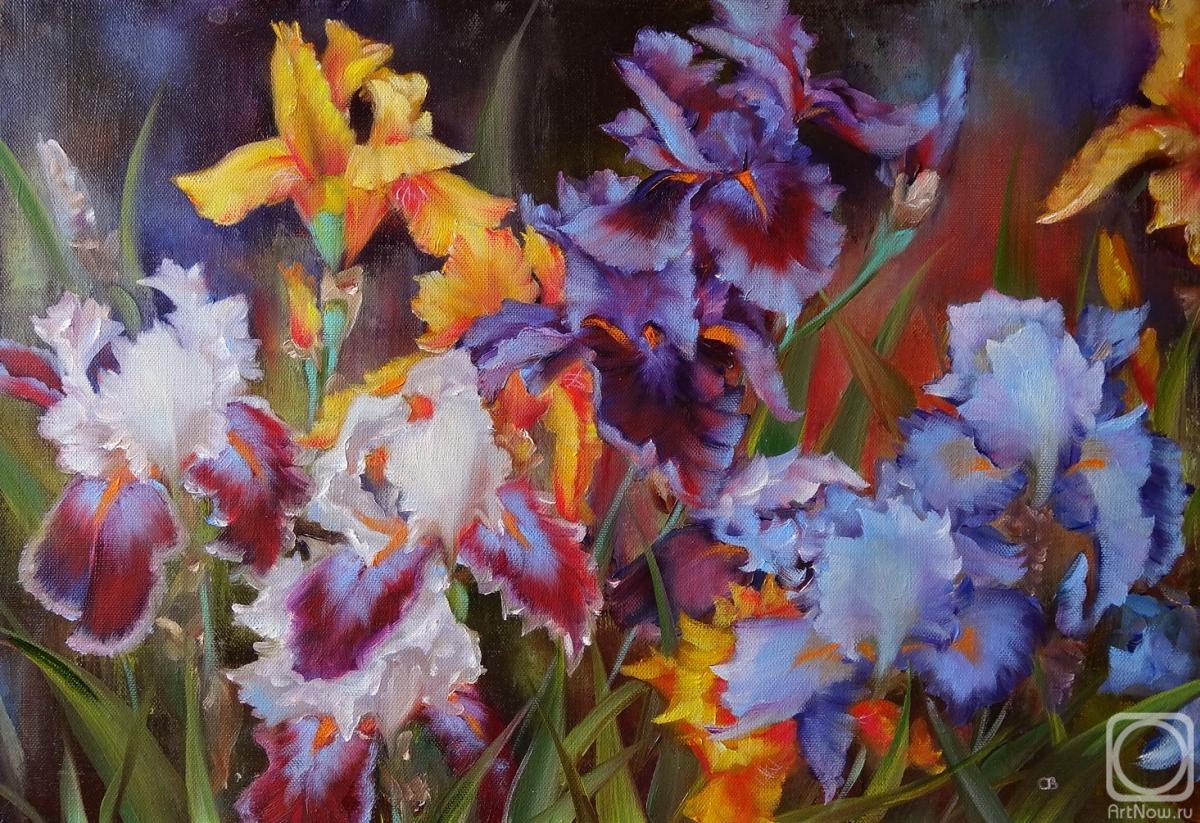 ������� ������ �� ������. �������� ��������. ������� �����