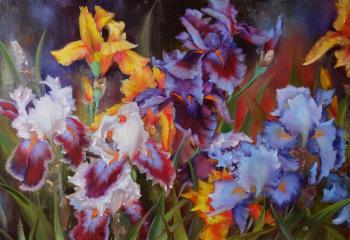 May irises