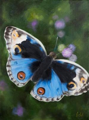 Butterfly. Goldstein Tatyana
