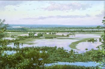 Flood meadows. Sergeev Oleg