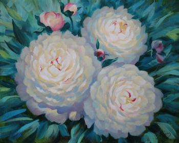Peonies (The View From The Top). Seleznev Maxim
