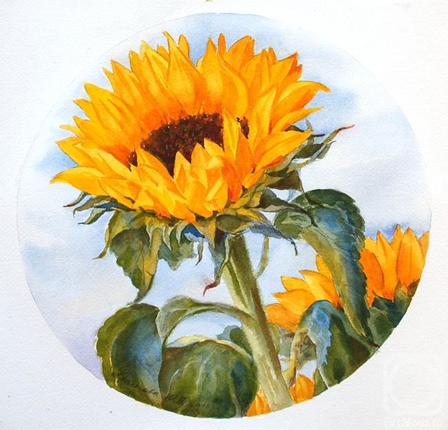 Krasnova Yulia. Sunflower