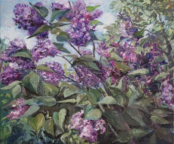 Lilac 2019. Korhov Yuriy