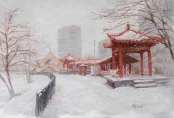 Snowfall March 19th. Long gallery. Blagoveshchensk. Fedoseev Konstantin