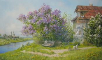 The house by the river. Zhdanov Vladimir