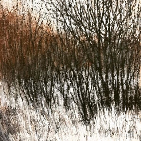 Shchepetnova Natalia. From the "Graphics of winter trees"