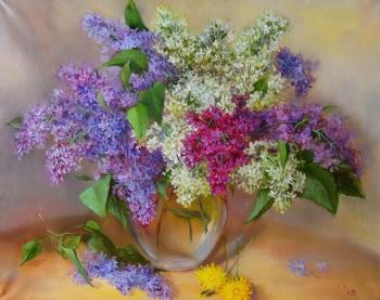 Three colors of lilac. Razumova Svetlana